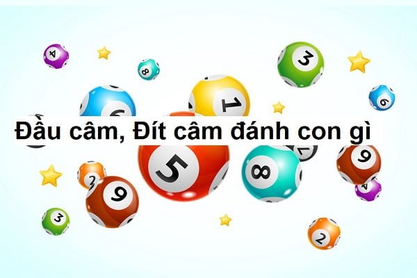 cách đánh lô trượt online