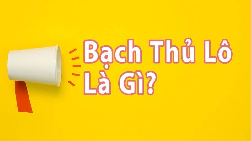 1- Bạch thủ lô miền Bắc là cách lựa chọn ra một con số có tỷ lệ chính xác nhất 