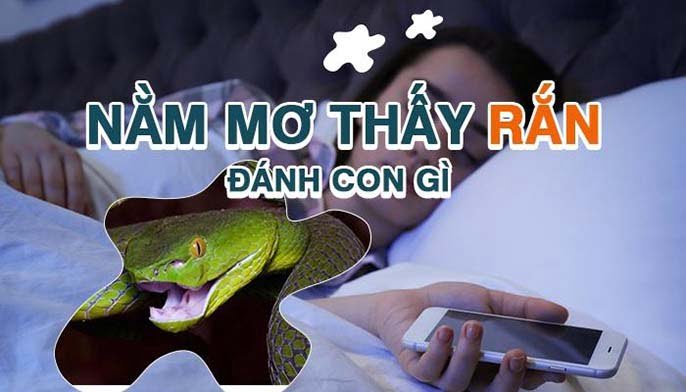 Con rắn số mấy? Mơ thấy rắn đánh đề con gì?