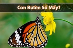 Con bướm số mấy? Mơ thấy bươm bướm đánh đề con gì ngon nhất?