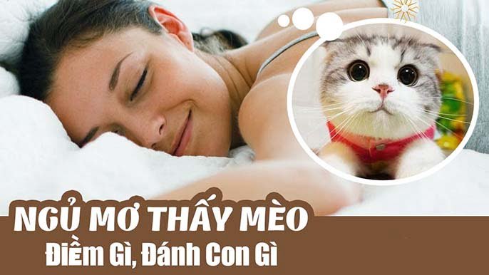 Con mèo số mấy? Mơ thấy mèo đánh đề con gì chuẩn?