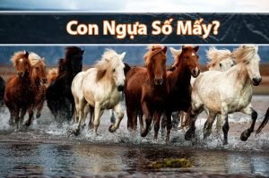 Ngựa số mấy? Mơ thấy Ngựa nên đánh đề con gì dễ thắng?