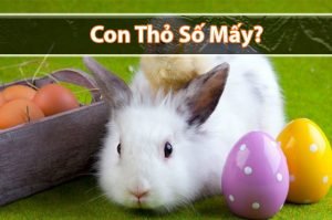 Thỏ số mấy? Mơ thấy con Thỏ đánh đề số mấy chuẩn?