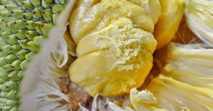 Quả mít số mấy? Mơ thấy quả mít đánh số đề con gì?
