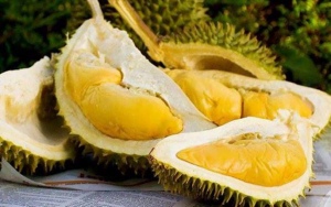 [Giải Đáp] Mơ thấy ăn sầu riêng đánh con gì trở thành đại gia?