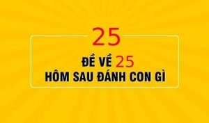 Đề về 25 hôm sau đánh con gì? Ý nghĩa của cặp số 25