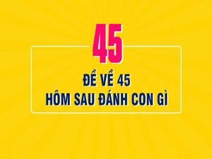 Đề về 45 hôm sau đánh con gì? Giải mã ý nghĩa con số 45 khi đánh lô đề online