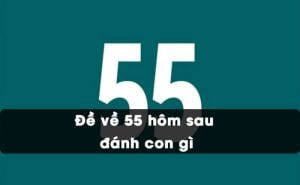 Đề về 55 hôm sau đánh con gì chuẩn nhất từ cao thủ
