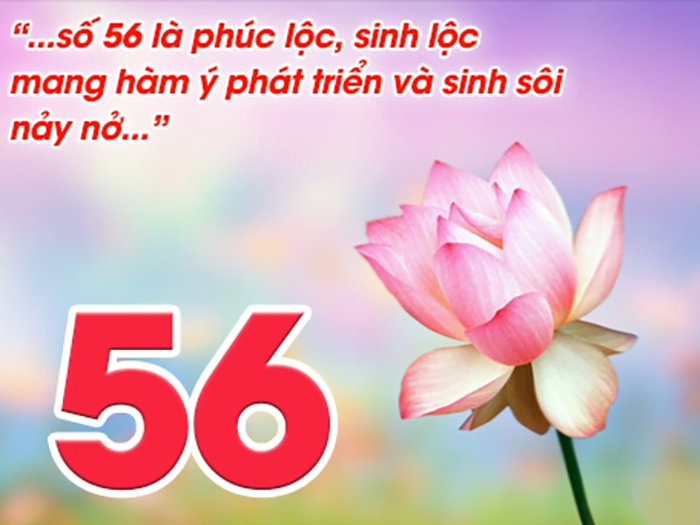 Đề về 56 hôm sau đánh con gì? Đánh lô đề chắc thắng!