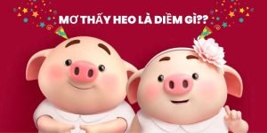 mơ thấy 2 con lợn