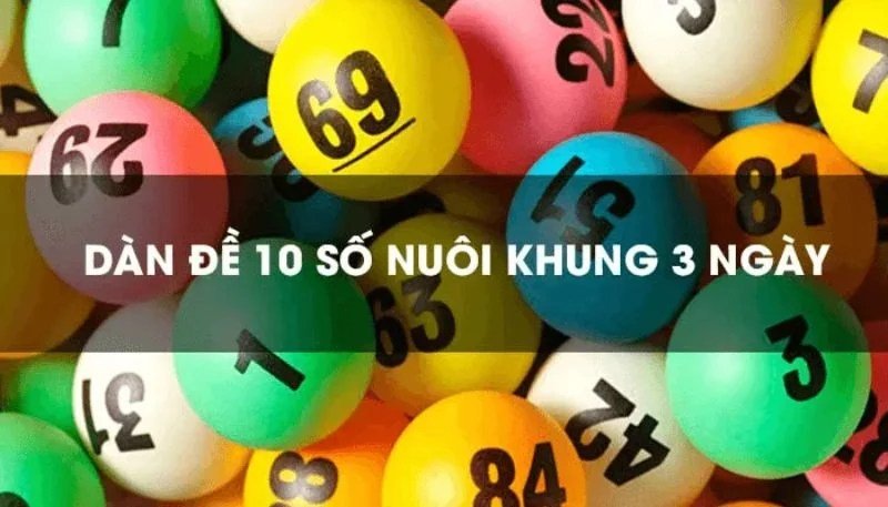 Dàn đề 10 số nuôi trong 3 ngày tại sao lại hữu hiệu