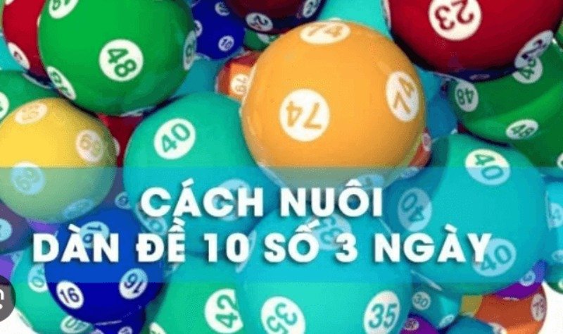 Chơi đề dựa theo xu hướng trên bảng số
