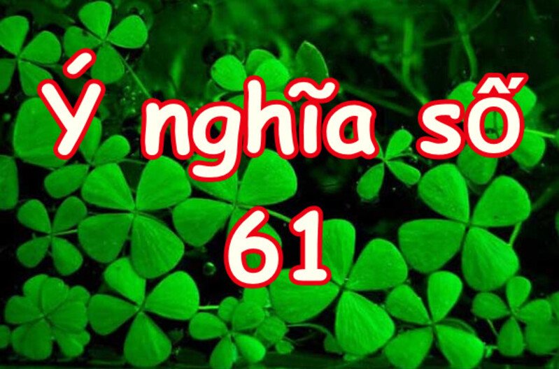 Số 61 được hiểu theo nhiều ý nghĩa Số 61 được hiểu theo nhiều ý nghĩa