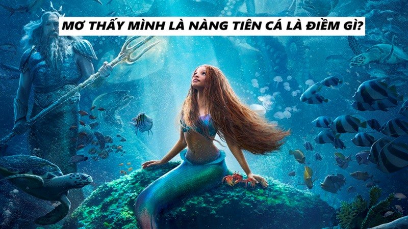 Thấy mình là nàng tiên cá có thể phản ánh về tính cách của bạn