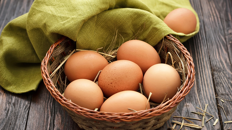Quả trứng nở ra báo hiệu thay đổi lớn trong cuộc sống