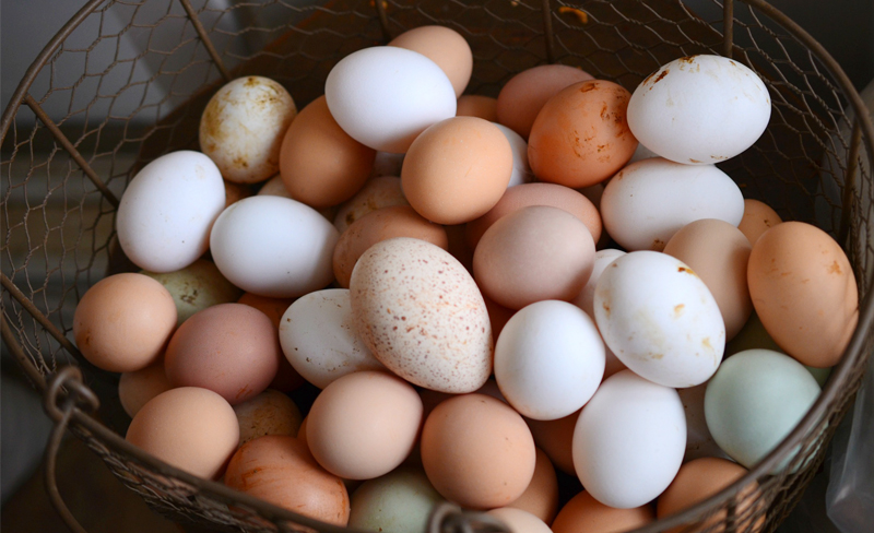 Quả trứng nhiều màu dự báo một sự kiện tích cực sắp đến
